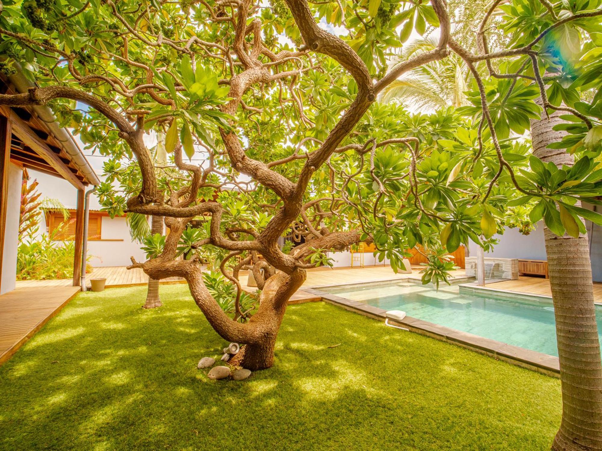 La Kaz Veloutier - Villa 4 Chambres Avec Piscine ลาซาลีน เลอแบ็ง ภายนอก รูปภาพ